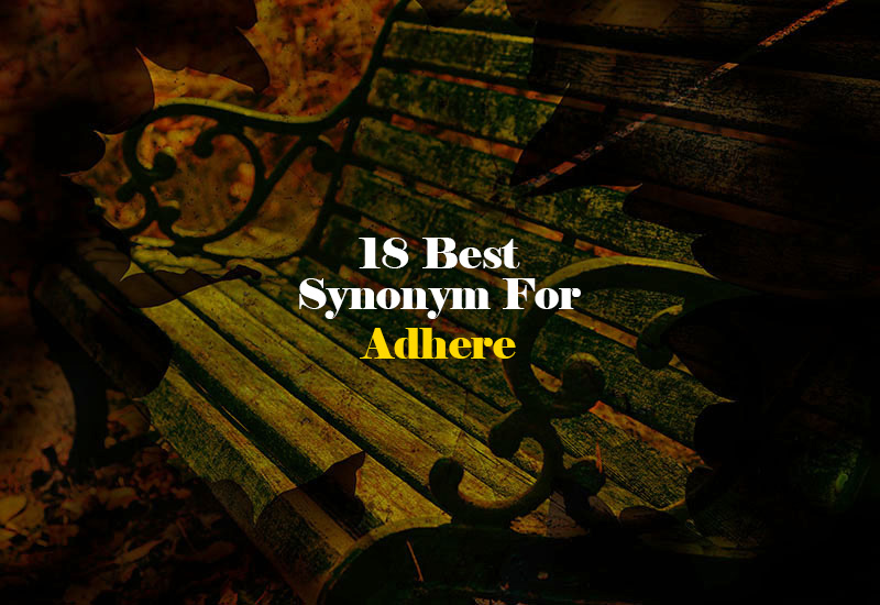 Synonym for Adhere