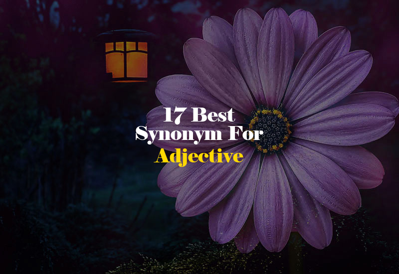 Synonym for Adjective