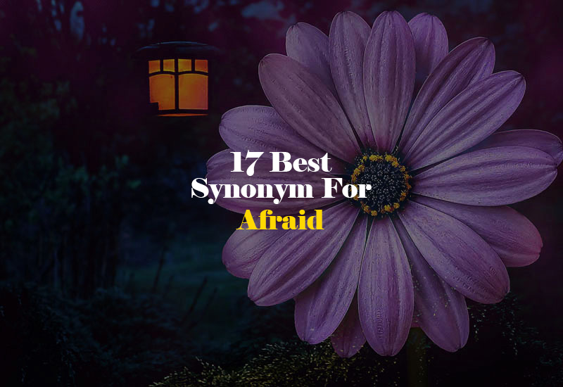 Synonym for Afraid