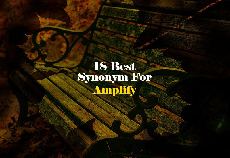 Synonym for Amplify