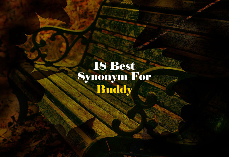 Synonym for Buddy