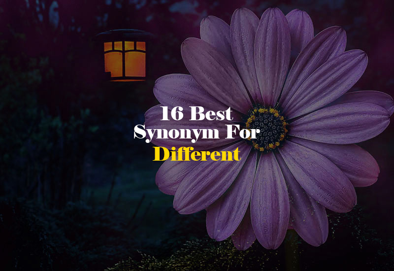 Synonym for Different