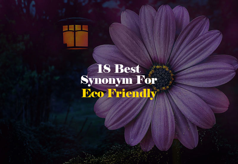 Synonym for Eco Friendly