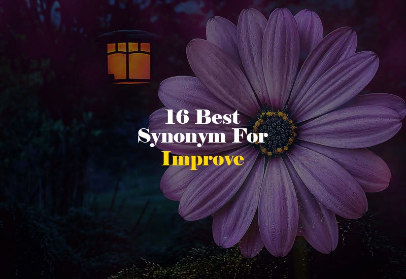 Synonym for Improve