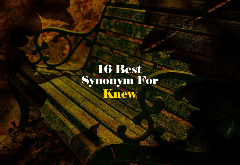 Synonym for Knew
