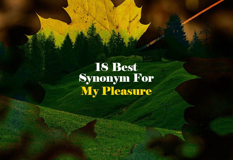 Synonym for My Pleasure