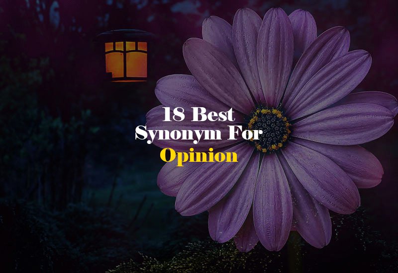 Synonym for Opinion