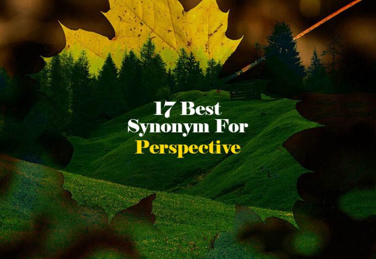 Synonym for Perspective