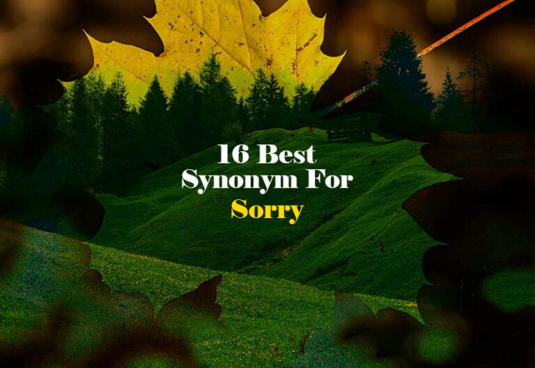 Synonym for Sorry