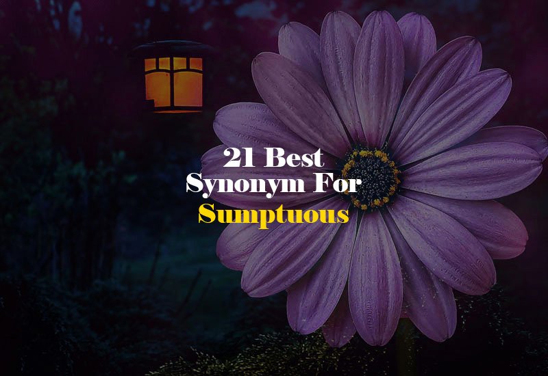 Synonym for Sumptuous