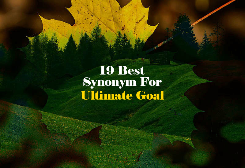 Synonym for Ultimate Goal