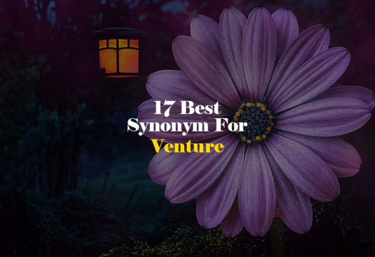 Synonym for Venture