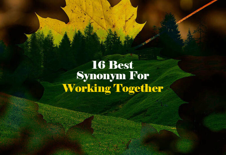 Synonym for Working Together
