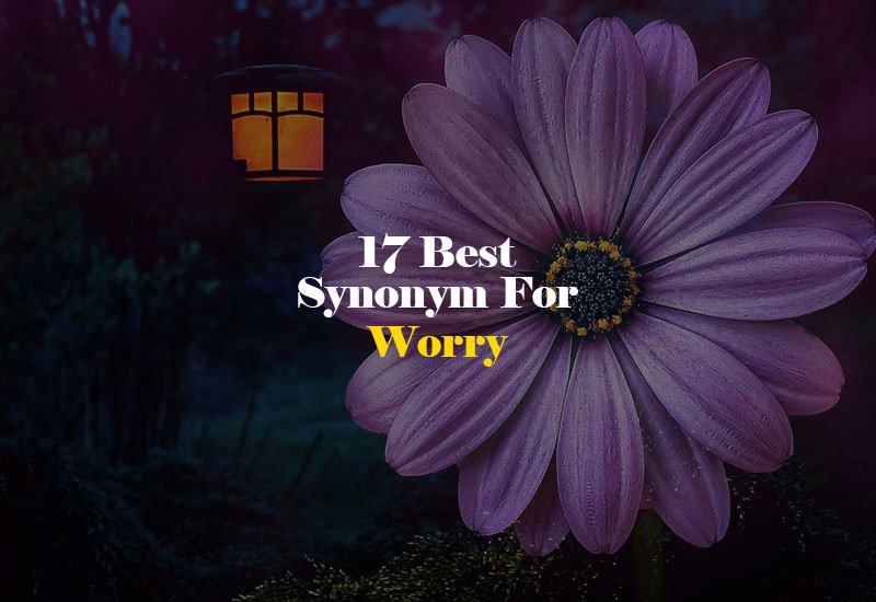 Synonym for Worry